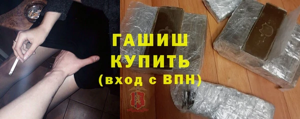 spice Богородск