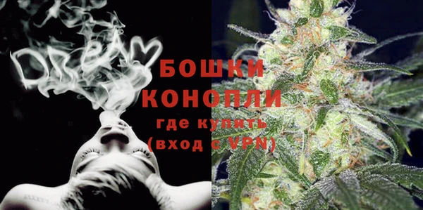 гидра Белоозёрский