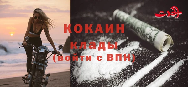 spice Богородск