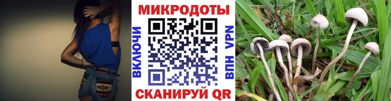 Псилоцибиновые грибы Psilocybine cubensis  Карпинск 